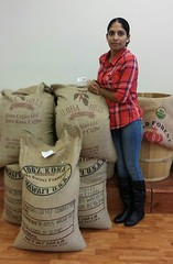 100% KONA / HAWAIIAN COFFEE BEANS MEDIUM ROASTED DAILY 4 POUNDS IN 1 POUND BAGS