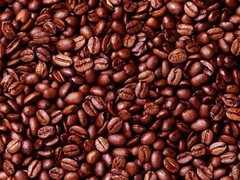 Lavanta Coffee “Mocha Java” World Famous Blend Arabica Green or Roasted Coffee