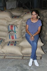 SUMATRA COFFEE BEANS MEDIUM ROASTED 5 POUNDS