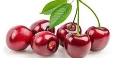 Dark Chocolate Cherry Whole Bean 10oz Dessert Coffee Fresh Roasted