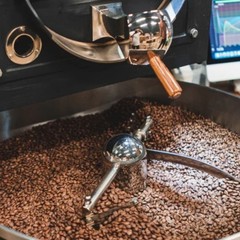 Java Arabica Coffee Beans Fresh Roasted Single Origin Indonesian Whole Bean 1kg