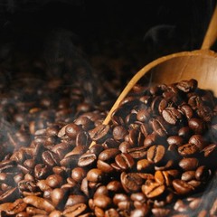 Java Arabica Coffee Beans Fresh Roasted Single Origin Indonesian Whole Bean 1kg