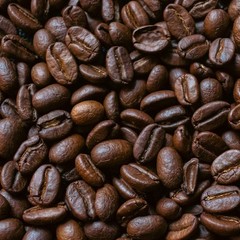 Java Arabica Coffee Beans Fresh Roasted Single Origin Indonesian Whole Bean 1kg