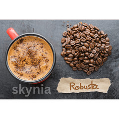 Java Robusta Coffee 1/2 pound Medium Dark bean beautiful forever